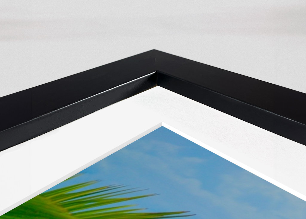 Palm tree with oceanview