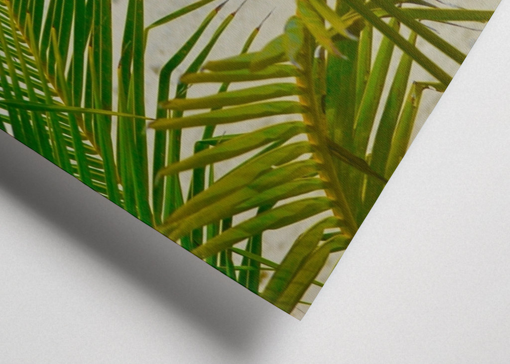 Palm tree with oceanview