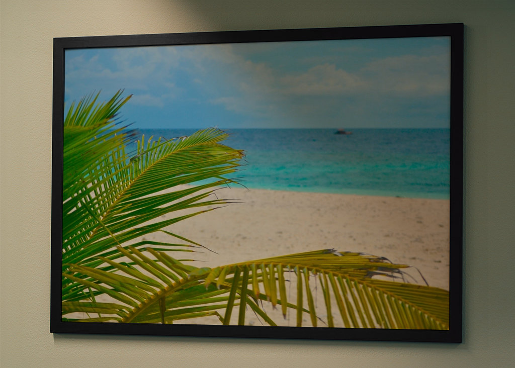 Palm tree with oceanview