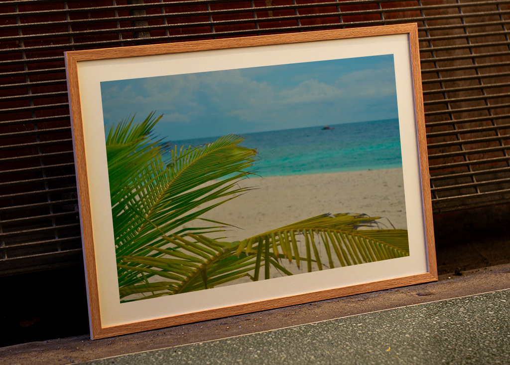 Palm tree with oceanview