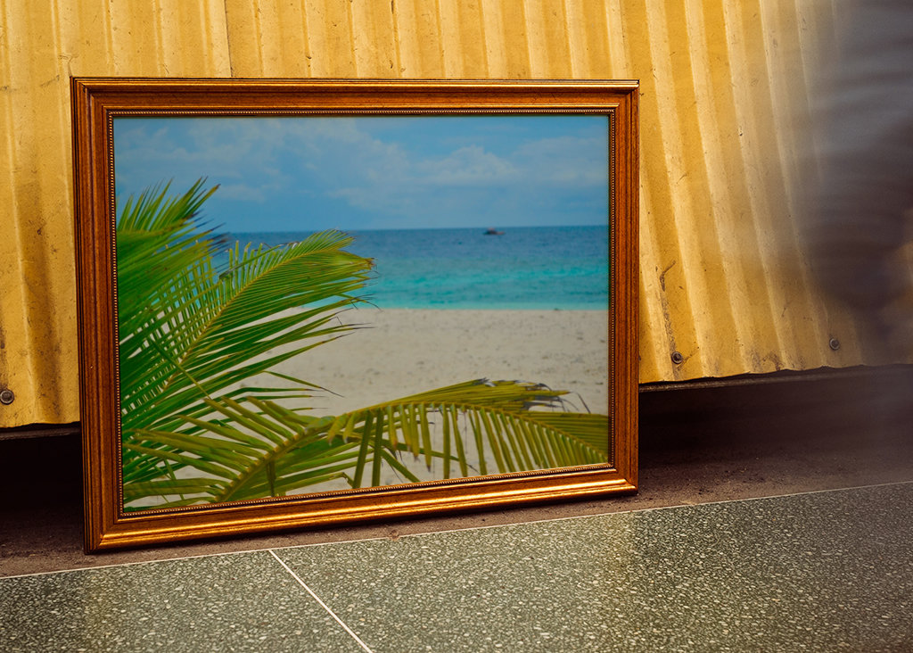 Palm tree with oceanview