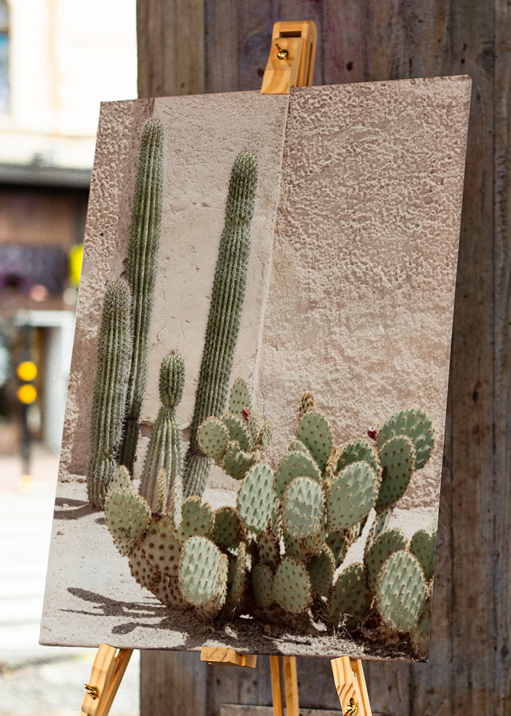 Pastel Wall Cactus