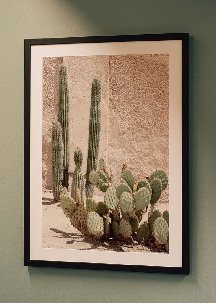 Pastel Wall Cactus