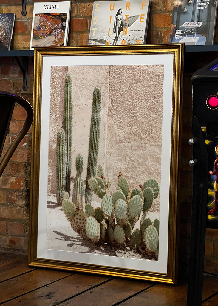 Pastel Wall Cactus