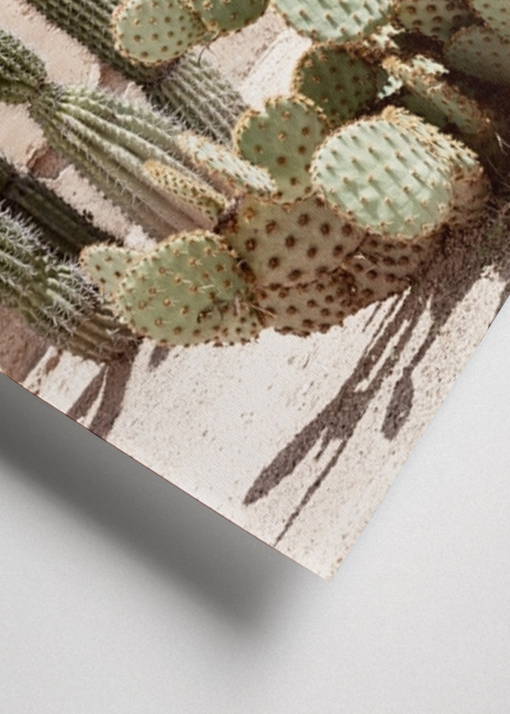 Pastel Wall Cactus