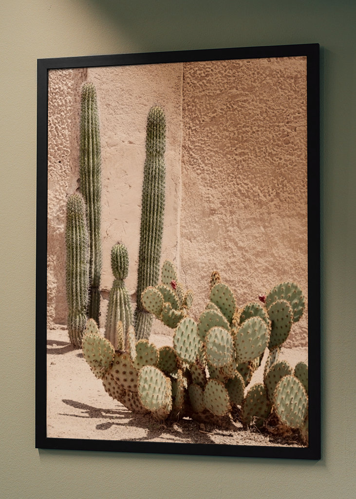 Pastel Wall Cactus