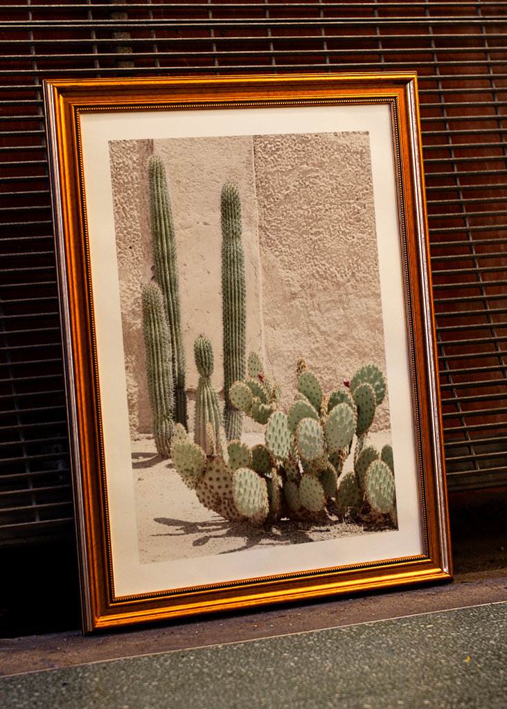 Pastel Wall Cactus
