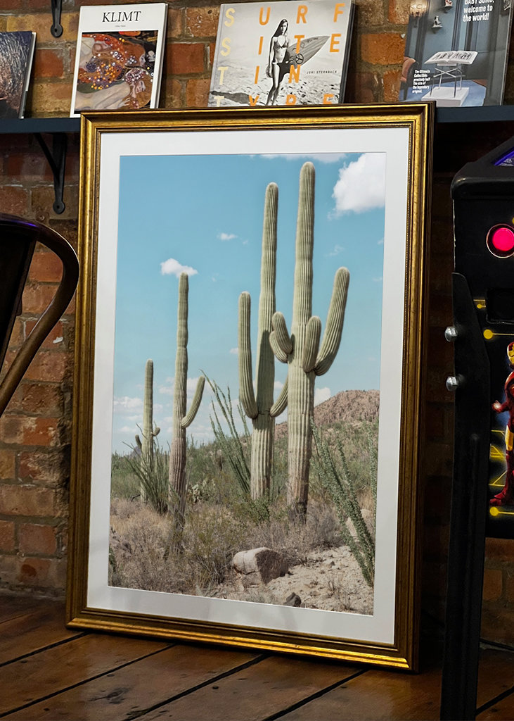Four Cactus