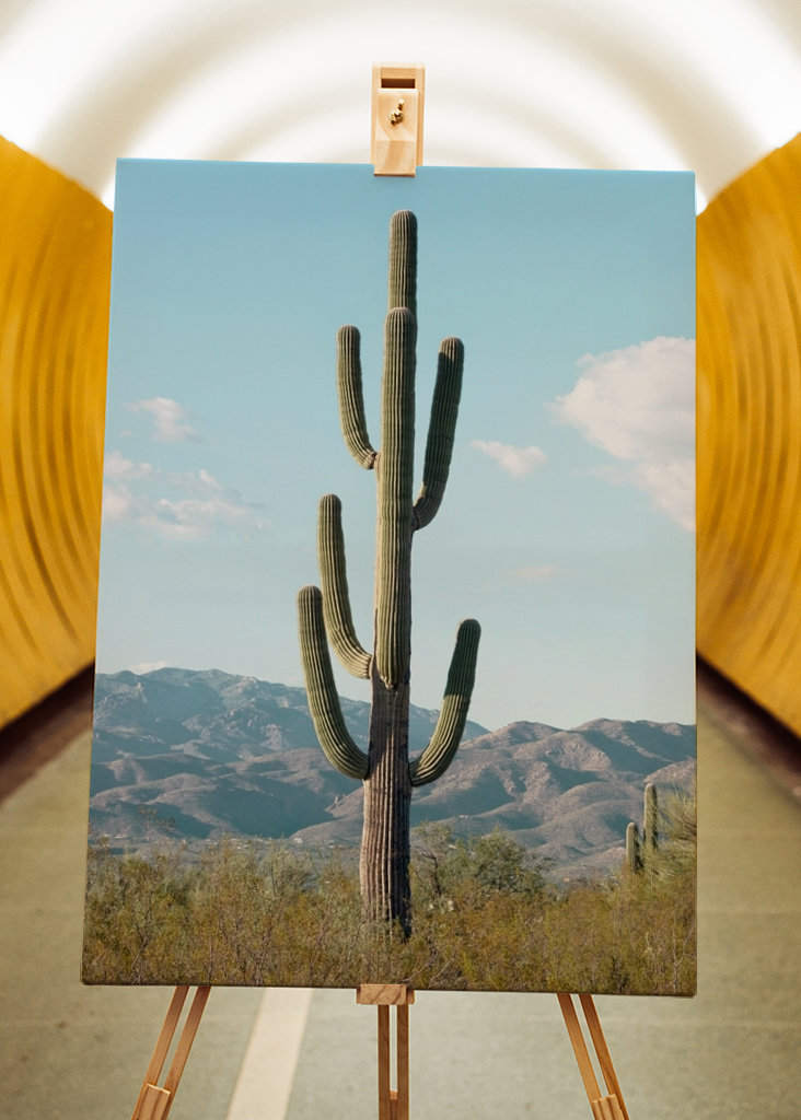 Kaktus Saguaro