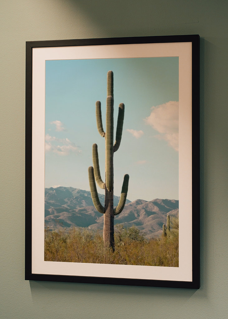 Kaktus Saguaro