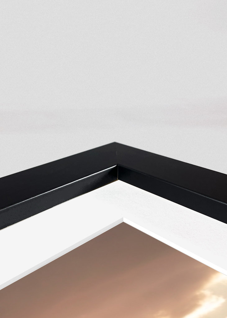 Between the cactus, the Light