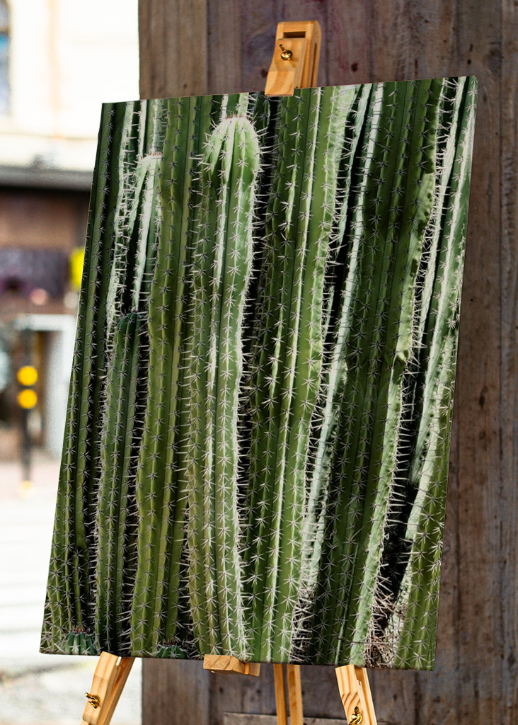 The Green Cactus