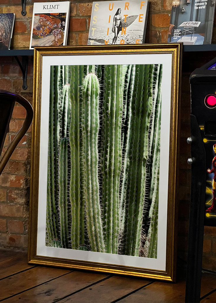 The Green Cactus