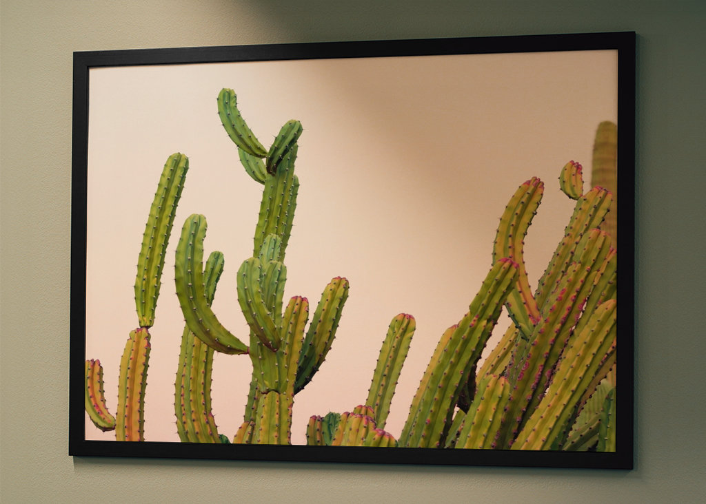 Pastel Sunset Cacti