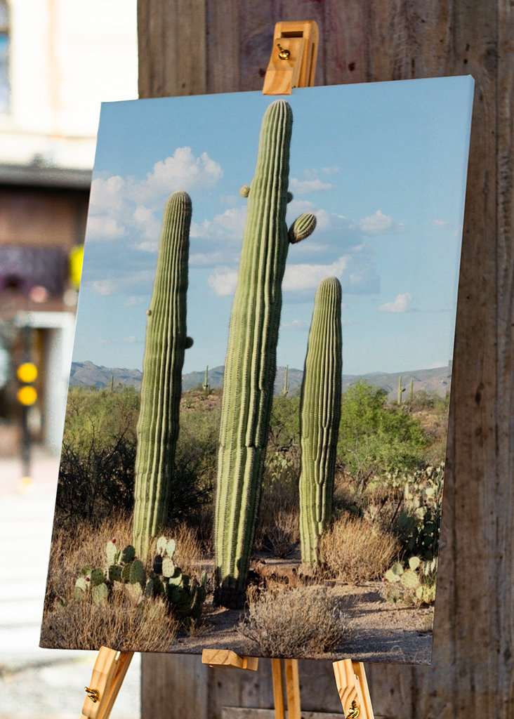 Saguaro Cacti Family