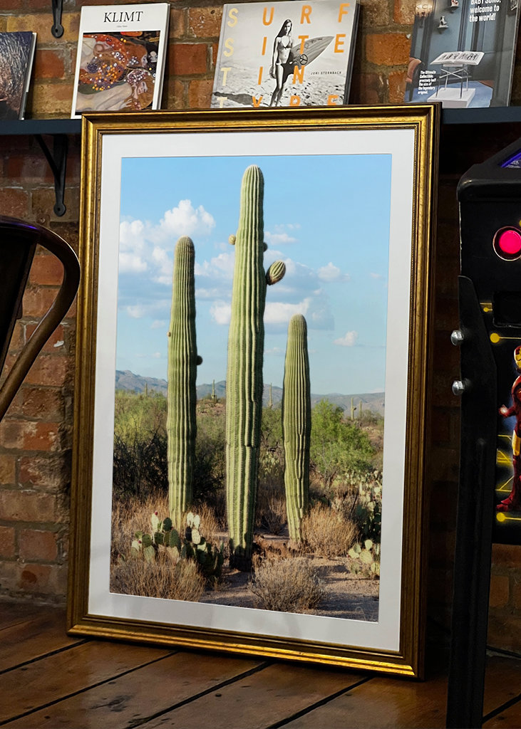Saguaro Cacti Family