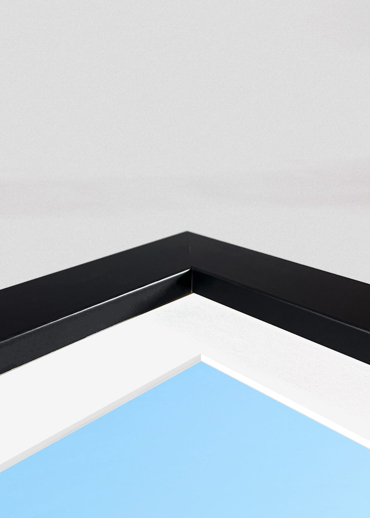 Saguaro Cacti Family