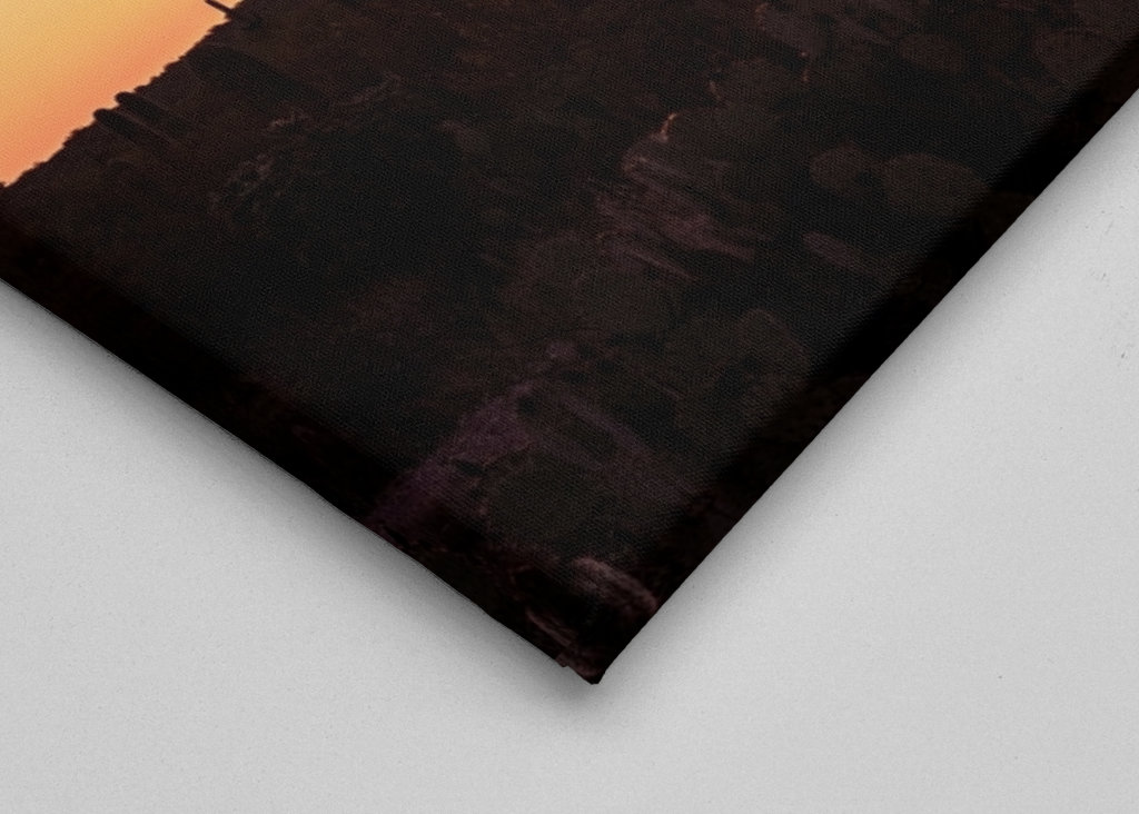 Shadows Cactus Sunset