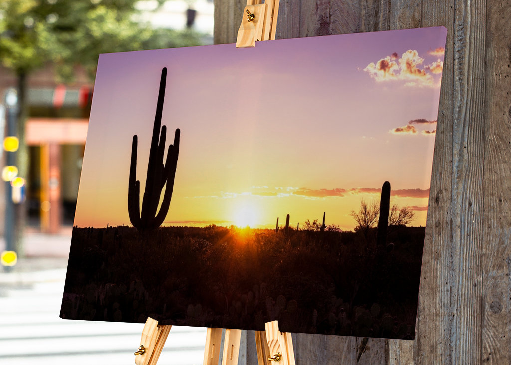 Shadows Cactus Sunset
