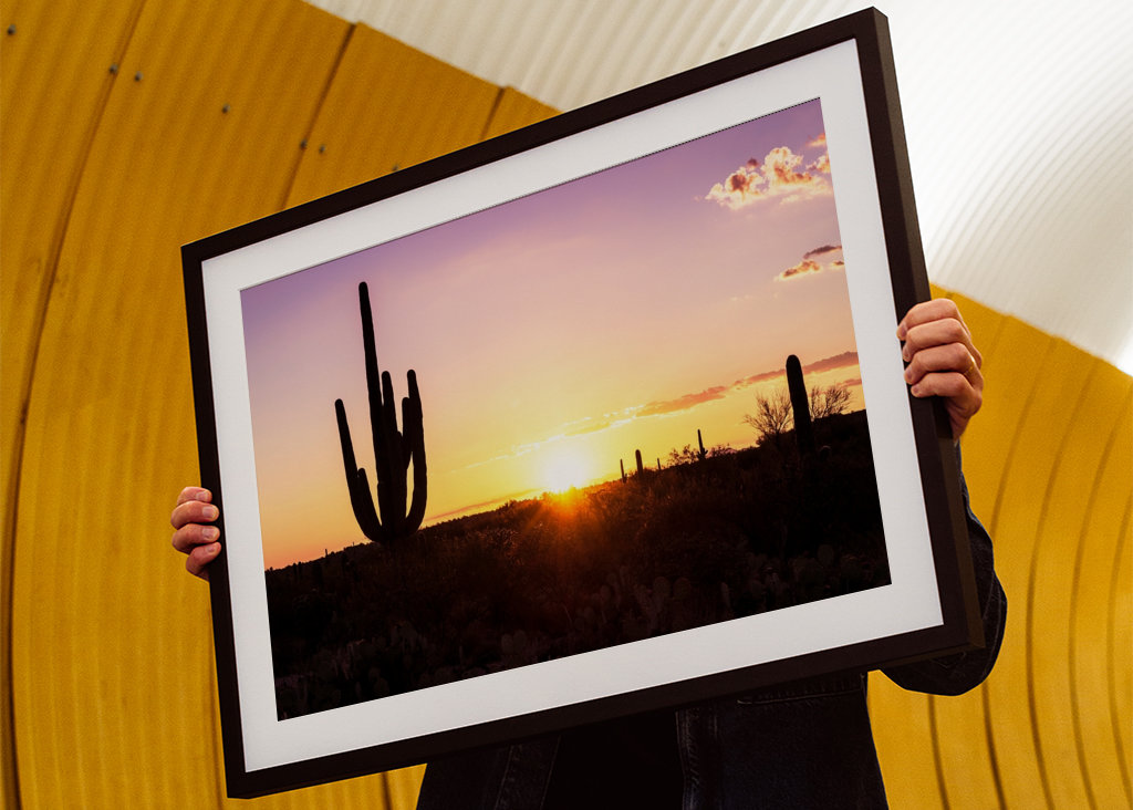 Shadows Cactus Sunset