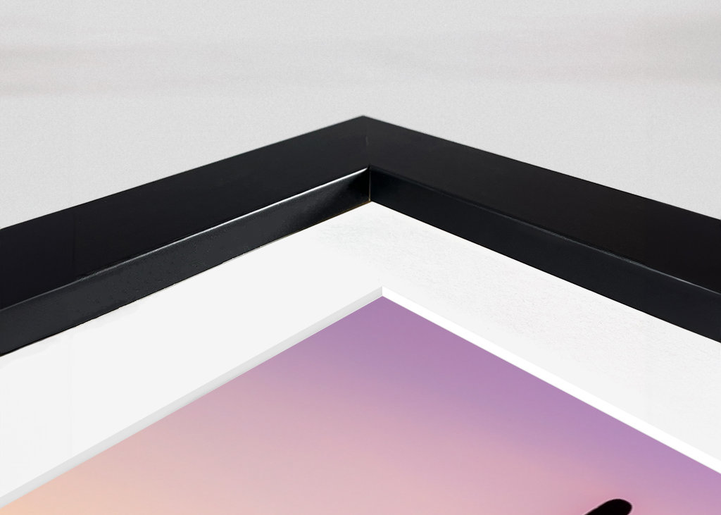 Shadows Cactus Sunset