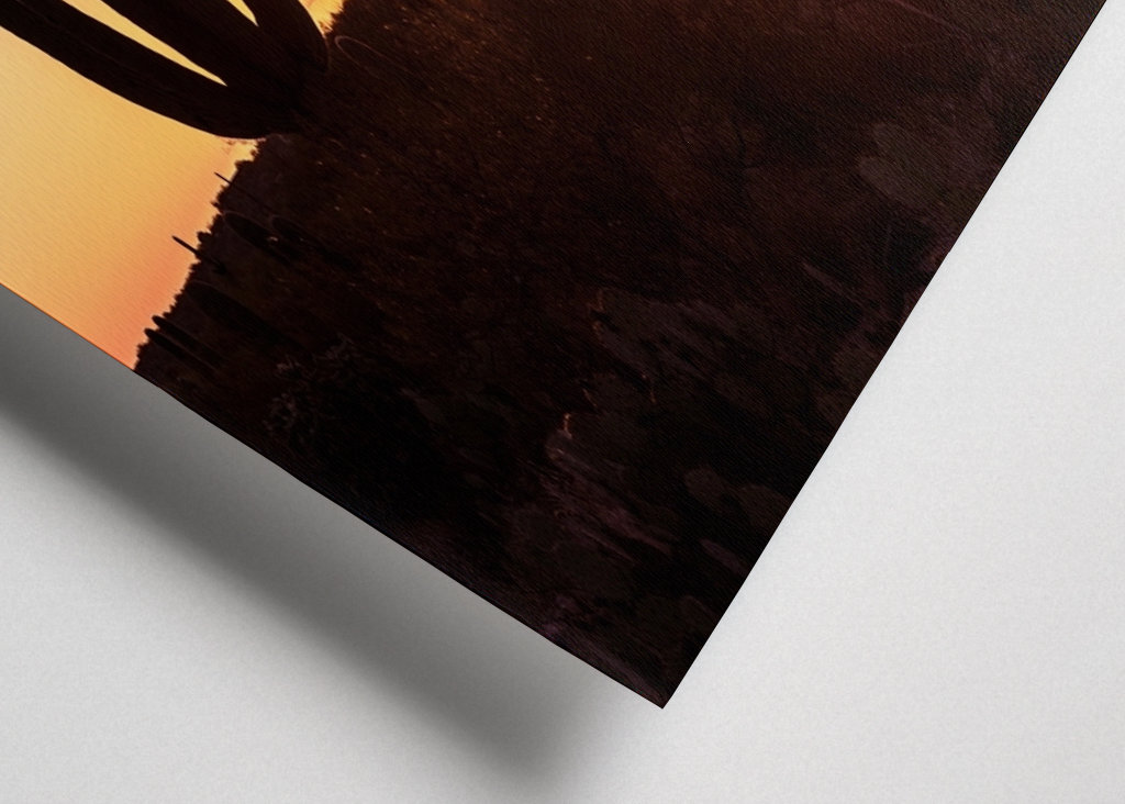 Shadows Cactus Sunset