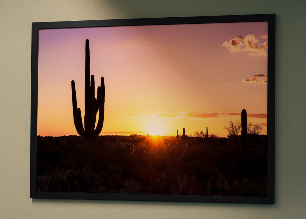 Shadows Cactus Sunset
