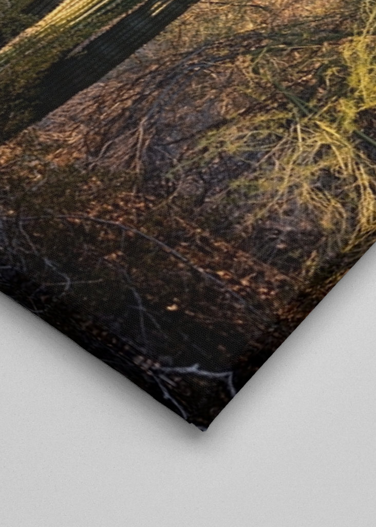 Pouštní západ slunce Příroda