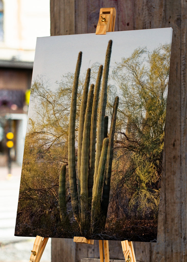 Pouštní západ slunce Příroda
