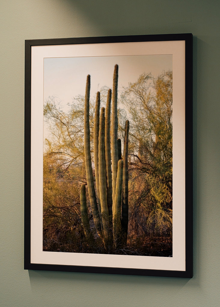 Pouštní západ slunce Příroda