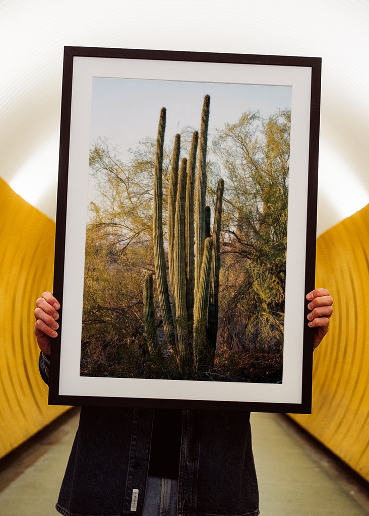 Pouštní západ slunce Příroda