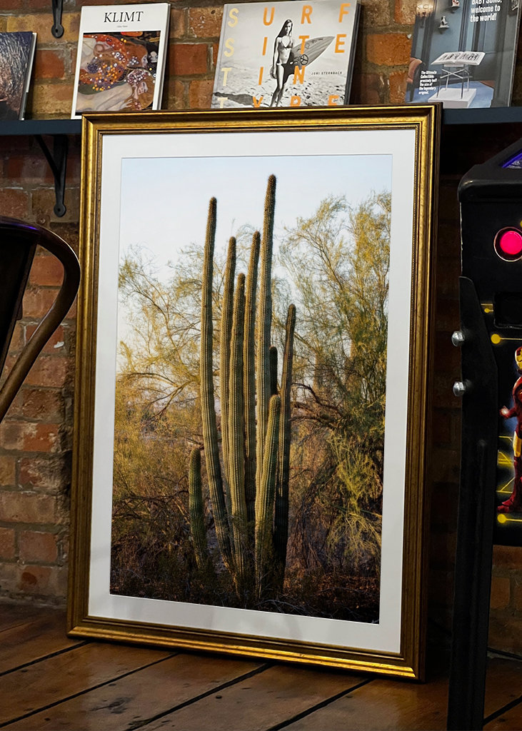 Pouštní západ slunce Příroda