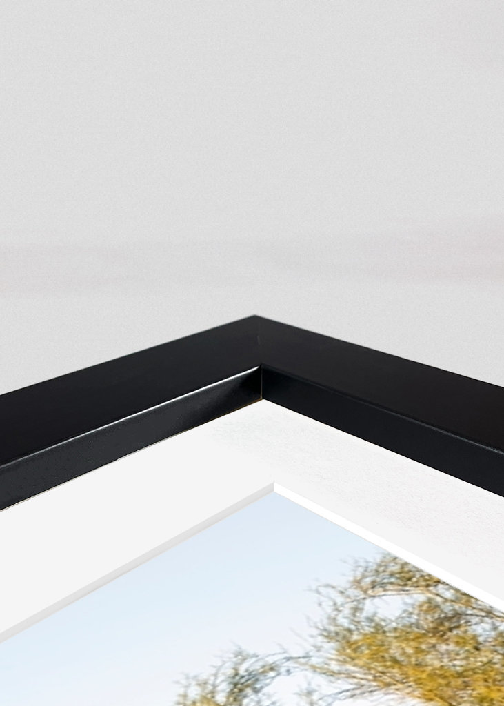 Pouštní západ slunce Příroda