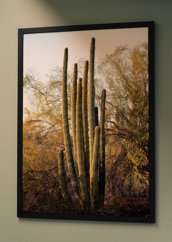 Pouštní západ slunce Příroda