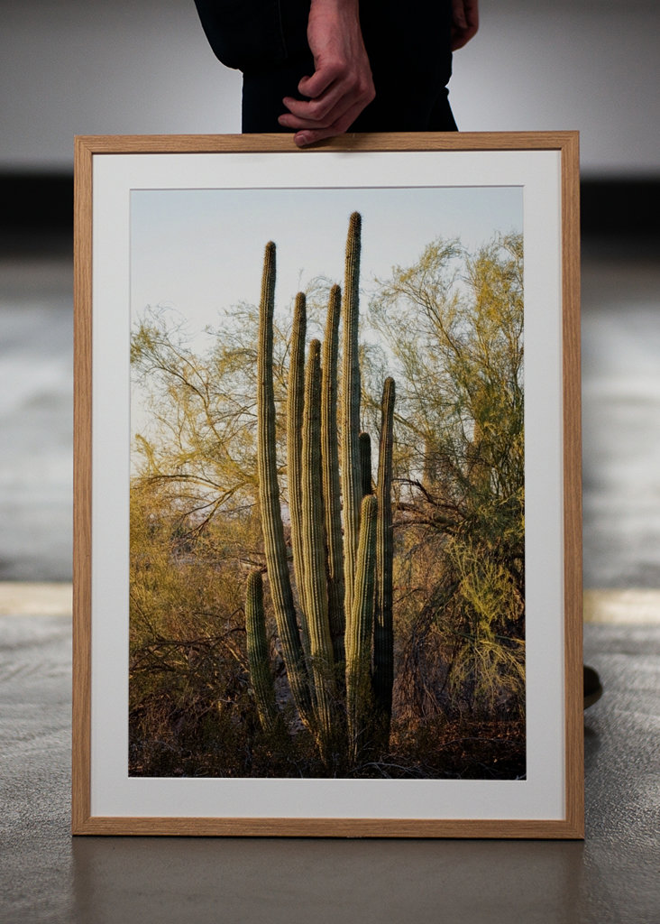 Pouštní západ slunce Příroda