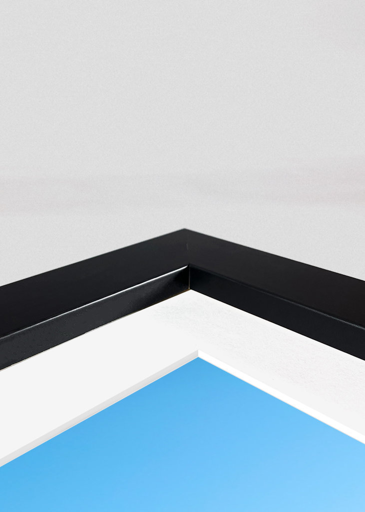 Velký pouštní kaktus