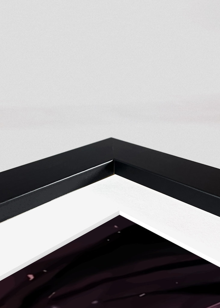 Megumi Fushiguro Jujutsu