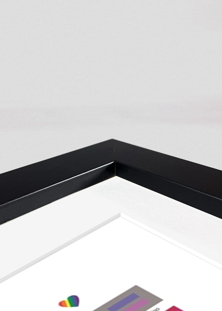 LGBTQIA+ Pride flags - Spanish