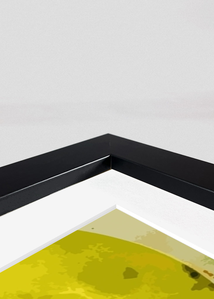 Japonské vinobranie