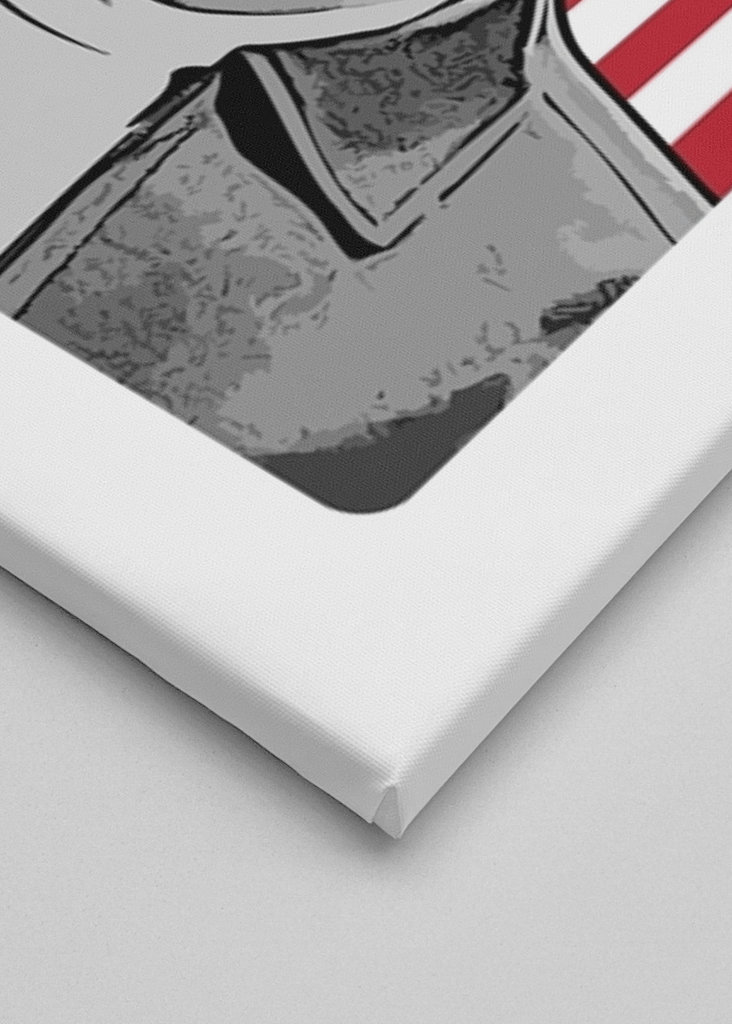 Eminem ve vektorové grafice