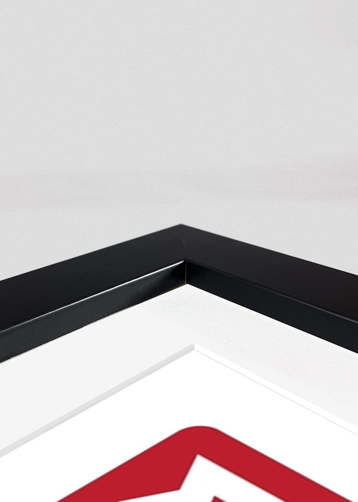 Eminem ve vektorové grafice