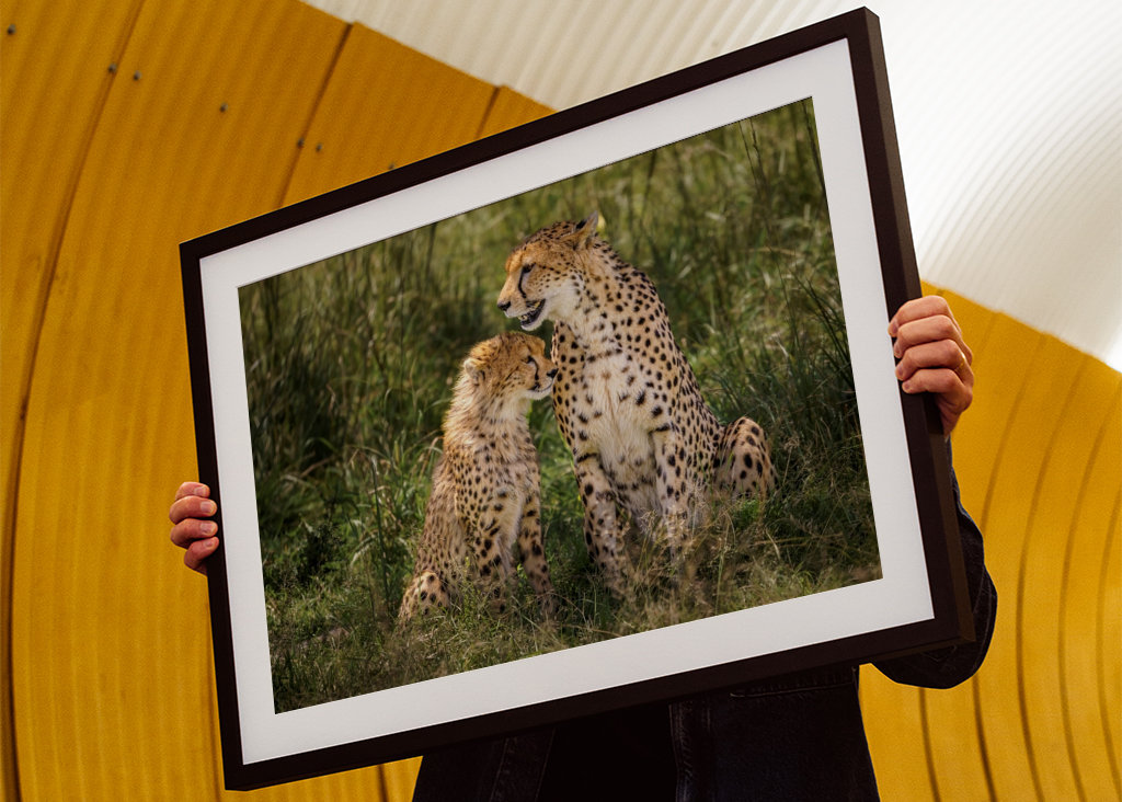 Cheetah with her cub