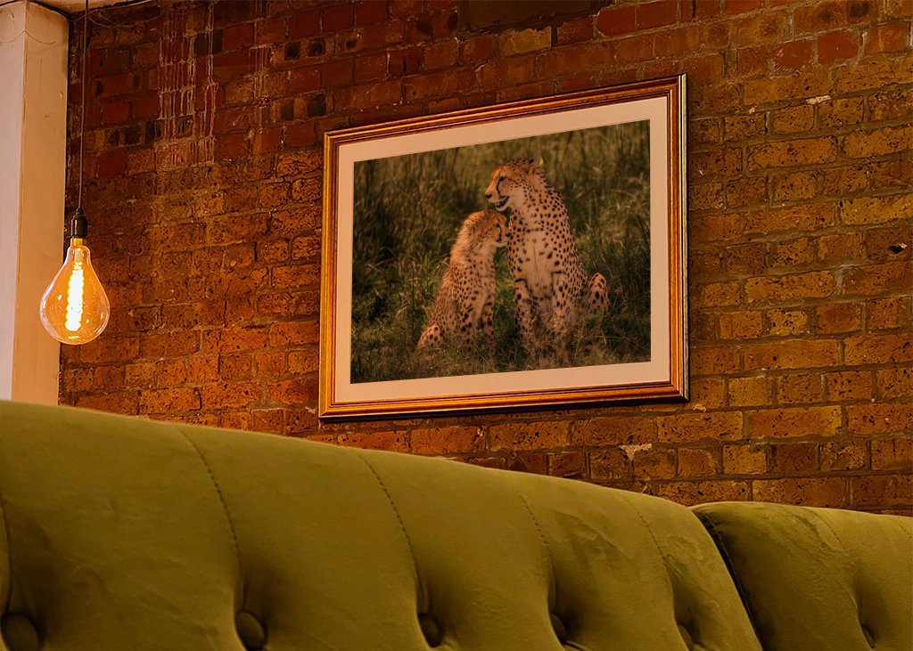 Cheetah with her cub