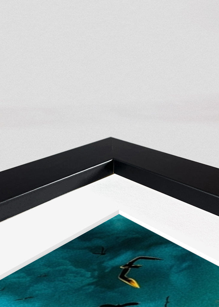 the Fellowship of the Ring