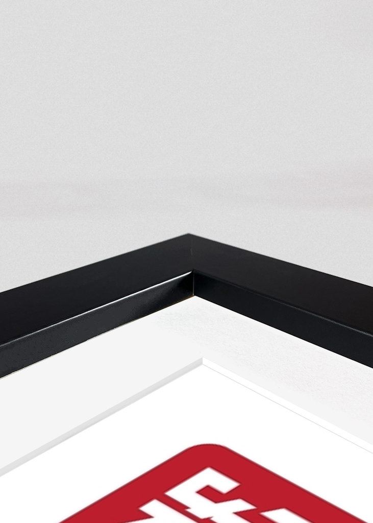 Post Malone Portrait