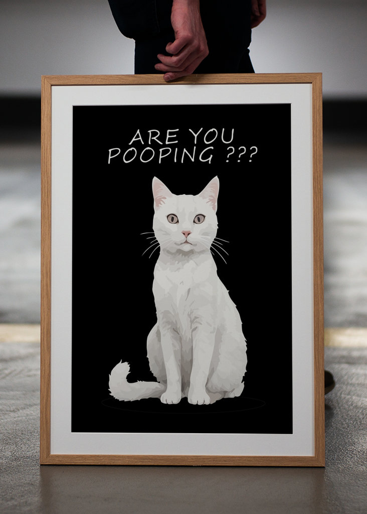 ¿Estás haciendo caca de gato blanco?