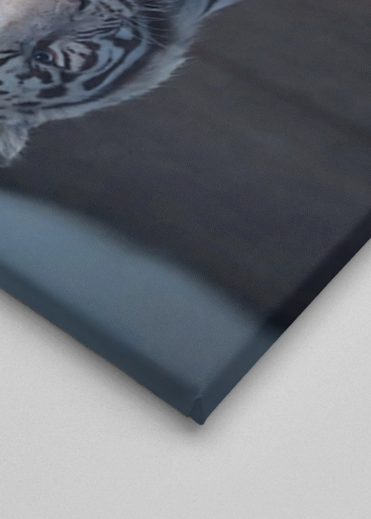 Katzen- und Tiger-Mentalität