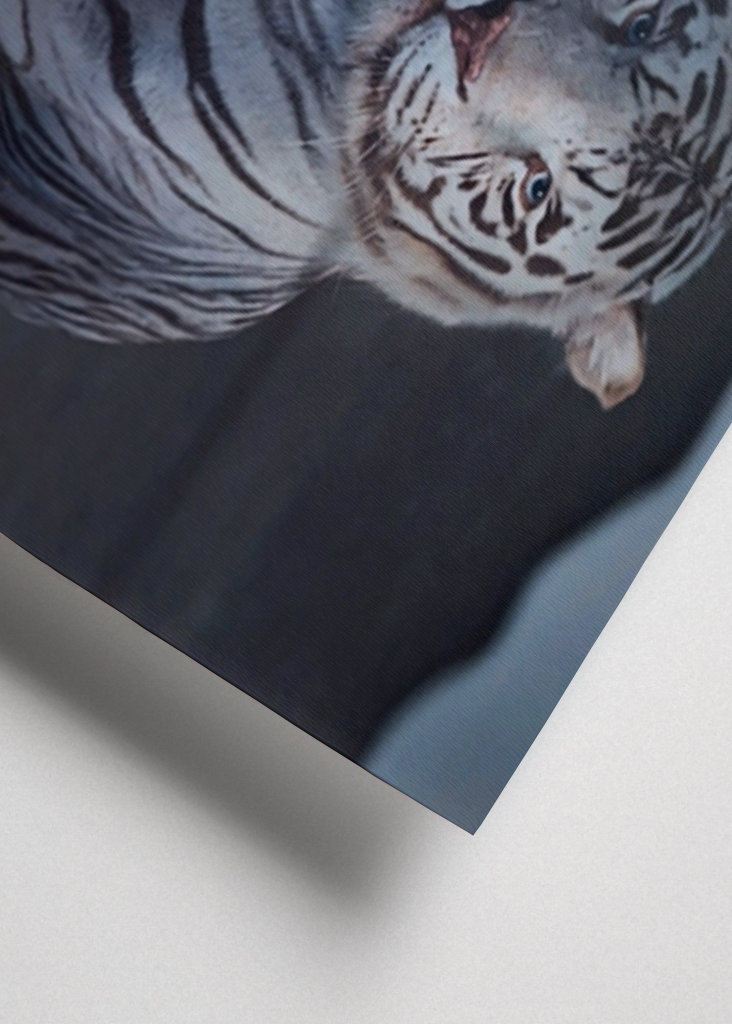 Katzen- und Tiger-Mentalität