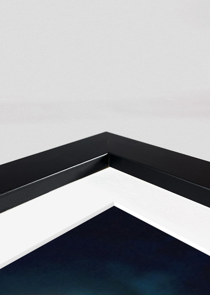 Tiger- und Katzen-Mentalität