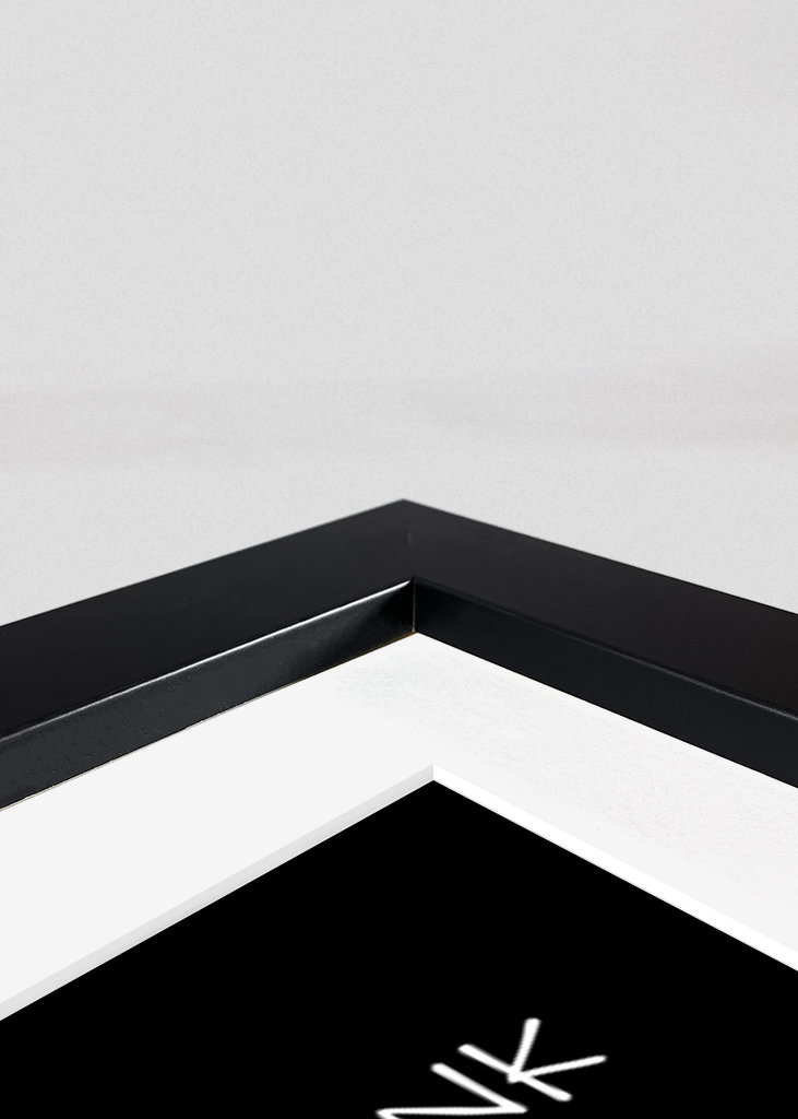 Hloupá husa troubí Bonk